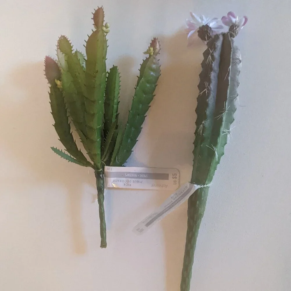 NWT Ashland 2 Spiky Mini Desert Cactus Flower Stems Faux Floral Decor Michaels